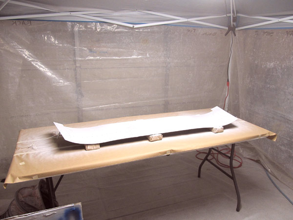 Painting Canopy Skin