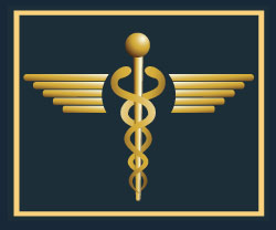medical wings